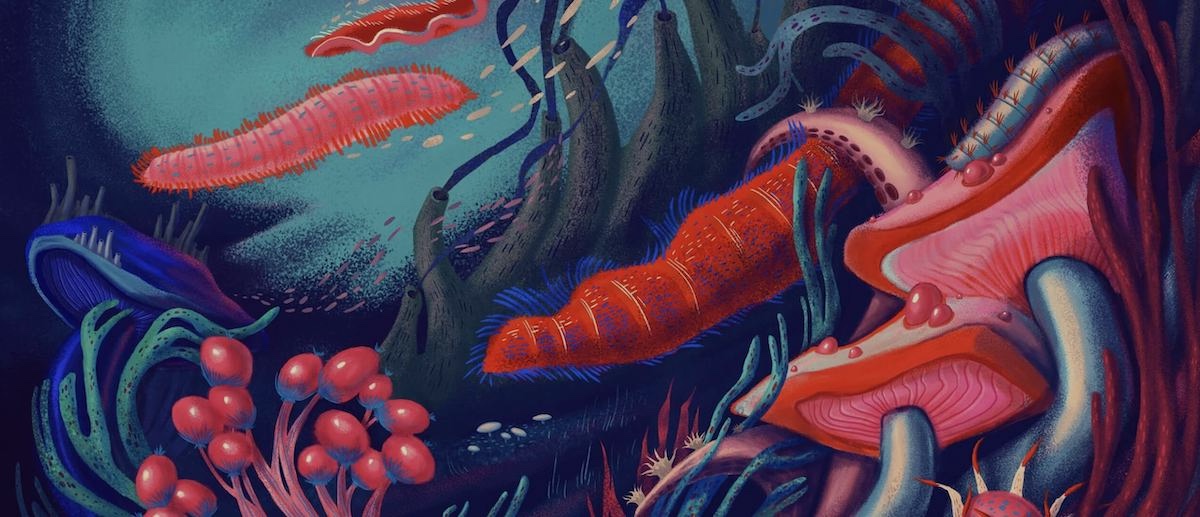 Illustration Beginning