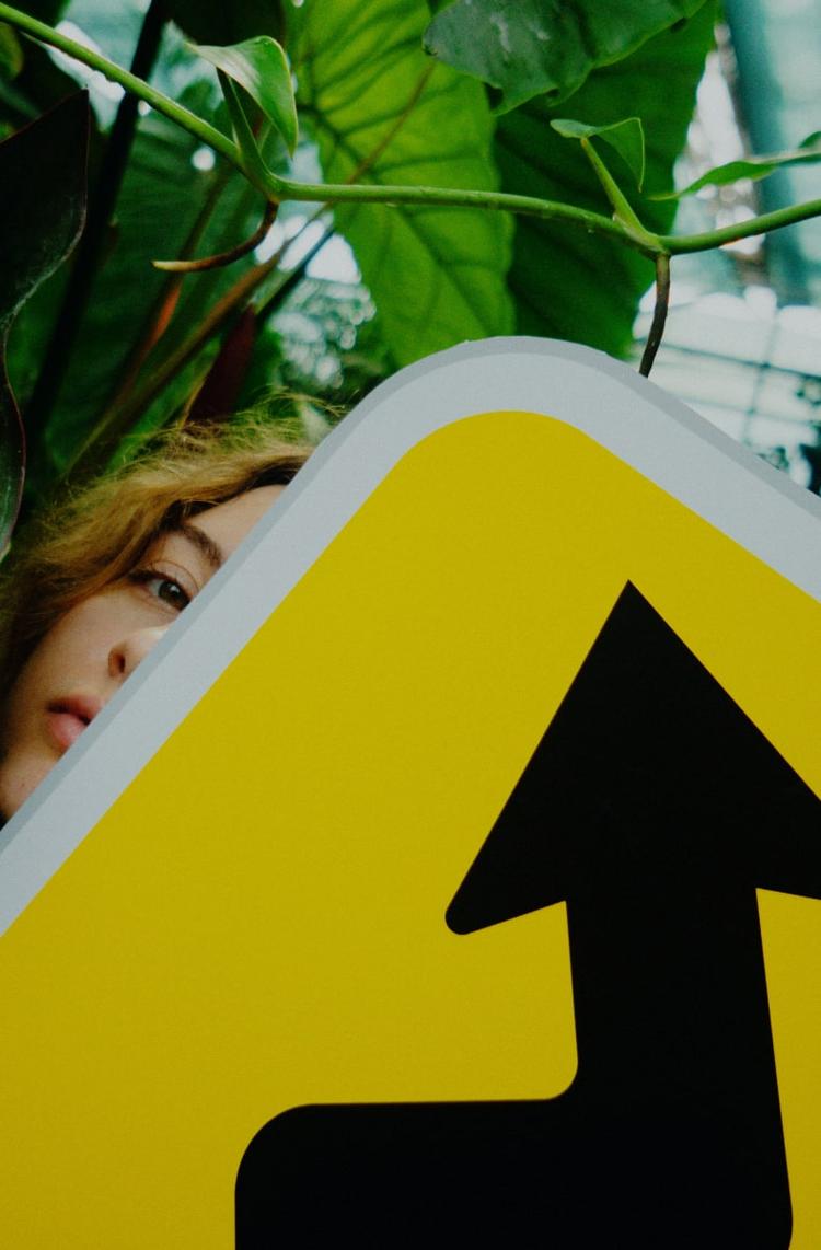 UX дизайн у Projector: гайд курсами